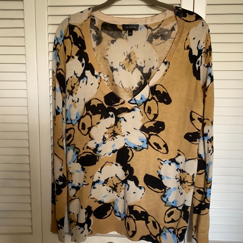 The Limited V-neck sweater